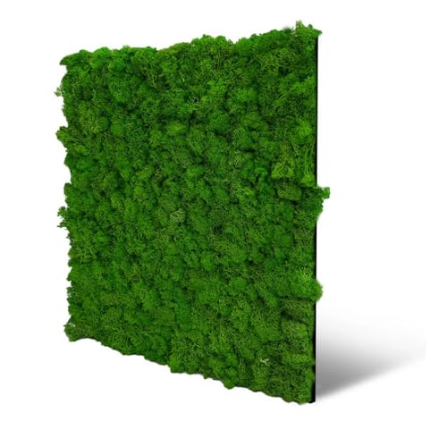 JANGAL Wandpaneel Modular Wall 11101 Rich Green Moos 52 x 52 cm JANGAL Wandpaneel Modular Wall 11101 Rich Green Moos 52 x 52 cm von JANGAL