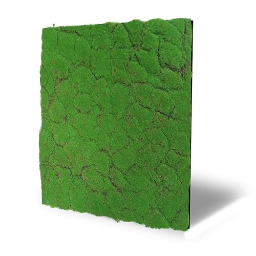 JANGAL Wandpaneel Modular Wall 11108 Forest Green Design Moos 52 x 52 cm JANGAL Wandpaneel Modular Wall 11108 Forest Green Design Moos 52 x 52 cm von JANGAL