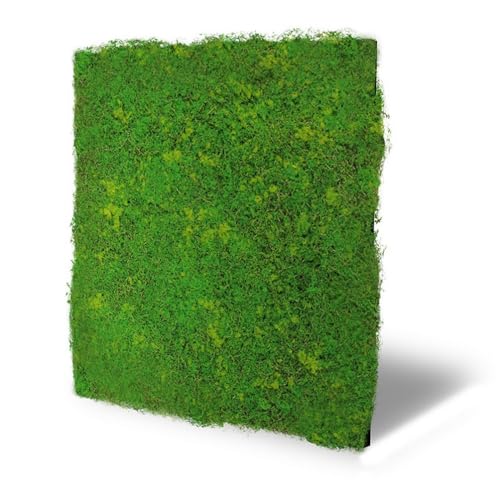 JANGAL Modular Wall Design Moos Paneel (52 x 52 cm), Modulares Wandpaneel, mit recyceltem PET-Filz, zum Kleben oder Schrauben, Wandverkleidung, Wand Deko, Mooswand (Light Green Fibre) JANGAL Modular Wall Design Moos Paneel (52 x 52 cm), Modulares Wandpaneel, mit recyceltem PET-Filz, zum Kleben oder Schrauben, Wandverkleidung, Wand Deko, Mooswand (Light Green Fibre) von JANGAL