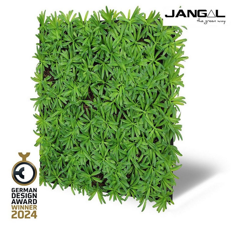 JANGAL Wandpaneel Wandpaneel Jangal Modular Wall 11104 Podocarpus Tea Tree 52 x 52 cm JANGAL Wandpaneel Wandpaneel Jangal Modular Wall 11104 Podocarpus Tea Tree 52 x 52 cm von JANGAL