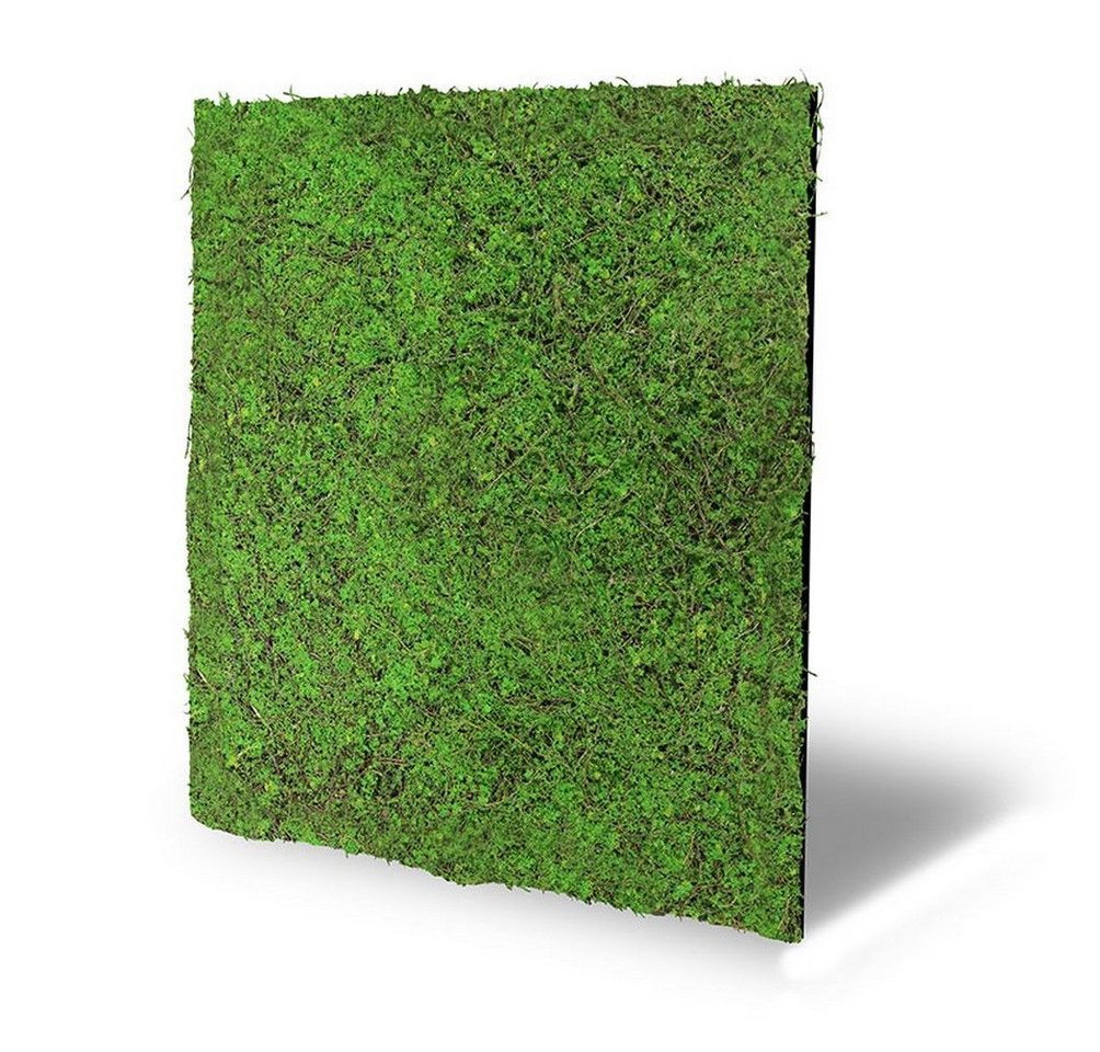 JANGAL Wandpaneel Wandpaneel Jangal Modular Wall 11107 Forest Green Ancient Tree 52 x JANGAL Wandpaneel Wandpaneel Jangal Modular Wall 11107 Forest Green Ancient Tree 52 x von JANGAL