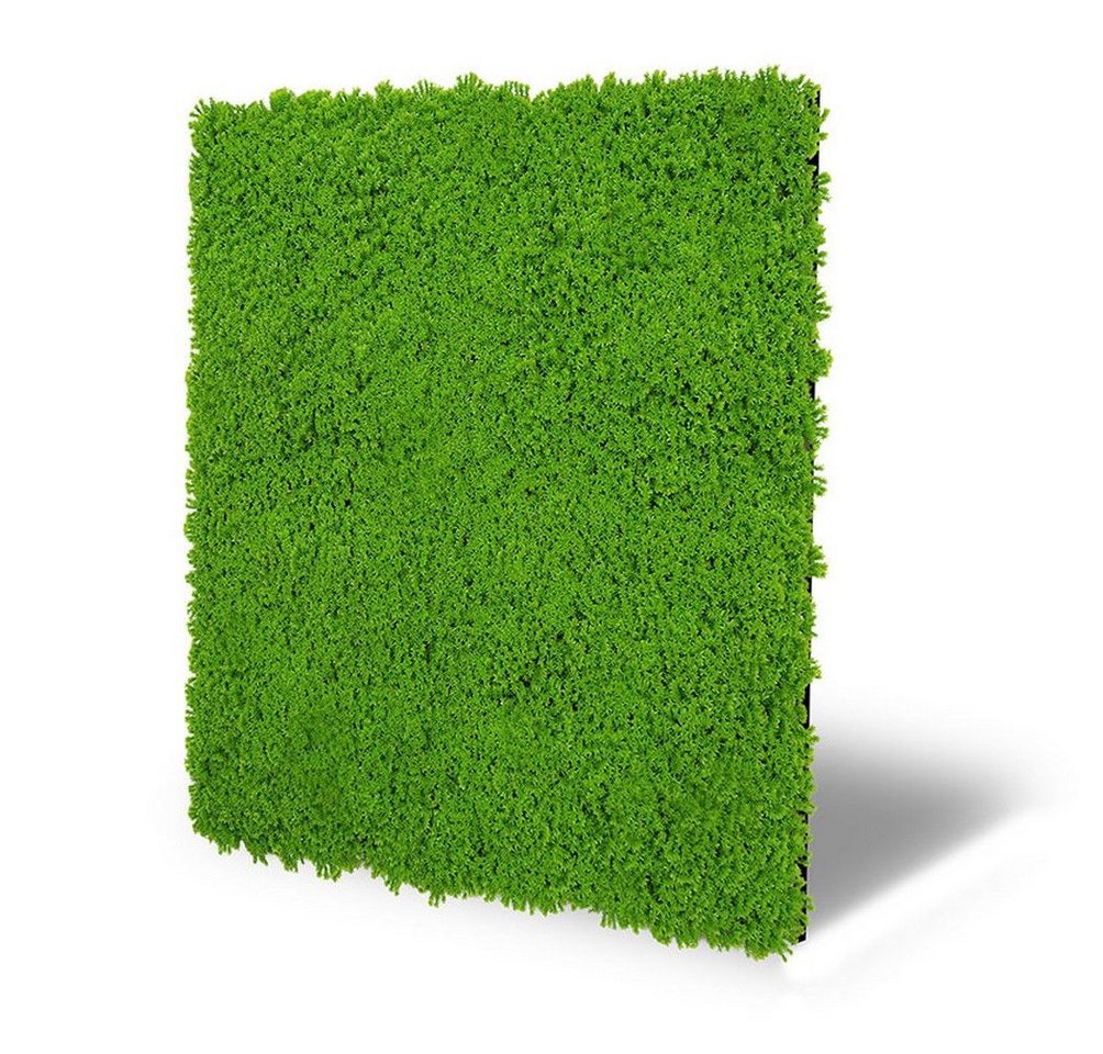 JANGAL Wandpaneel Wandpaneel Jangal Modular Wall 11121 Lime Green Design Moos 52 x 52 JANGAL Wandpaneel Wandpaneel Jangal Modular Wall 11121 Lime Green Design Moos 52 x 52 von JANGAL