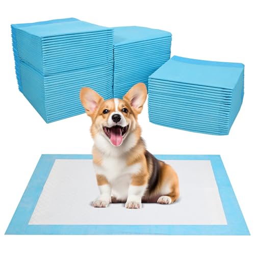 JANUIXCO 100 Stück PIPI Matten für Hunde 33 × 45 cm - Wickelunterlage Auslaufsicheres 5-Lagiges Design, Schnell Trocknender Oberfläche - Inkontinenzunterlage Einweg für Kranke und Inkontinente Tiere JANUIXCO 100 Stück PIPI Matten für Hunde 33 × 45 cm - Wickelunterlage Auslaufsicheres 5-Lagiges Design, Schnell Trocknender Oberfläche - Inkontinenzunterlage Einweg für Kranke und Inkontinente Tiere von JANUIXCO