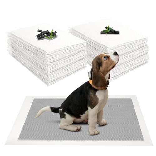 JANUIXCO 40 Stück PIPI Matten für Hunde 60 × 60 cm - Wickelunterlage Auslaufsicheres mit Kohlenstoff zur Geruchskontrolle - Inkontinenzunterlage Einweg für Kranke und Inkontinente Tiere JANUIXCO 40 Stück PIPI Matten für Hunde 60 × 60 cm - Wickelunterlage Auslaufsicheres mit Kohlenstoff zur Geruchskontrolle - Inkontinenzunterlage Einweg für Kranke und Inkontinente Tiere von JANUIXCO