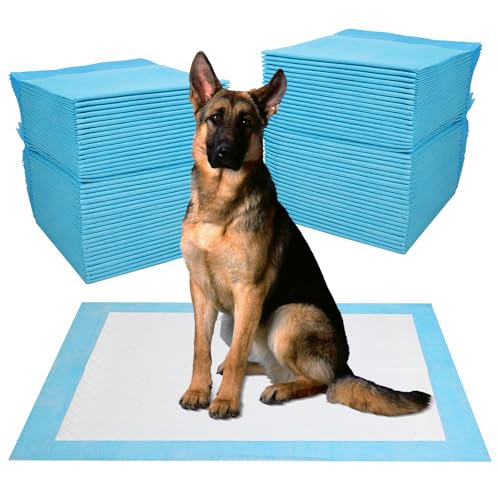 JANUIXCO 60 Stück PIPI Matten für Hunde 60 × 90 cm - Wickelunterlage Auslaufsicheres 5-Lagiges Design, Schnell Trocknender Oberfläche - Inkontinenzunterlage Einweg für Kranke und Inkontinente Tiere JANUIXCO 60 Stück PIPI Matten für Hunde 60 × 90 cm - Wickelunterlage Auslaufsicheres 5-Lagiges Design, Schnell Trocknender Oberfläche - Inkontinenzunterlage Einweg für Kranke und Inkontinente Tiere von JANUIXCO