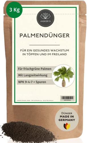 Bio Palmendünger Langzeit 3 Kg Granulat - 100% Langzeitdünger - Palmendünger Hanfpalme - Freilandpalmendünger für draußen und im Garten - Dünger für Palmen - Palmen Dünger von JASKER'S