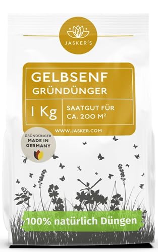 Senfsaat Gründüngung - Gelbsenf Gründüngung 1 Kg ca 200m²- Beliebter GRÜNDÜNGER SAMEN im Winter - Als Zwischenfrucht Gründung im Herbst - Senfsamen für magere Böden - Gründung Samen Senfsaat Gründüngung - Gelbsenf Gründüngung 1 Kg ca 200m²- Beliebter GRÜNDÜNGER SAMEN im Winter - Als Zwischenfrucht Gründung im Herbst - Senfsamen für magere Böden - Gründung Samen von JASKER'S