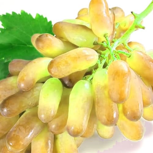 Weinreben Mix,Mysteriöse magische Glühbirne,Ständiger - perfekt für den Garten und den Innenpflanzen,Einfach professionell zu werden.-3Weinreben-C Weinreben Mix,Mysteriöse magische Glühbirne,Ständiger - perfekt für den Garten und den Innenpflanzen,Einfach professionell zu werden.-3Weinreben-C von JASNDH