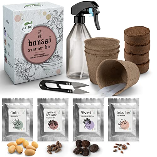 JATISI Bonsai Starter Kit - Glücksbaum zum selbst züchten - Anfängerfreundliches Komplett-Set - [4 Sorten] Bonsai Samen - Nachhaltiges Geschenkset - Inkl. Sprühflasche, Bonsai-Schere, Tipps & Tricks von JATISI