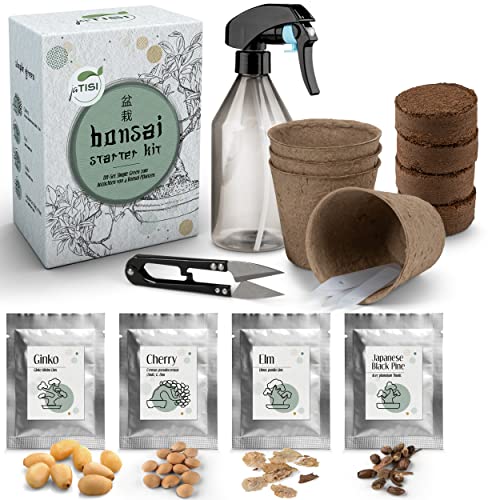 JATISI Bonsai-Starter Kit Green – Glücksbaum zum selbst züchten - 4 unterschiedliche Samen – Komplettset für Anfänger – Inkl. Sprühflasche, Schere & Ratgeber – Nachhaltiges Bonsai-Anzuchtset von JATISI