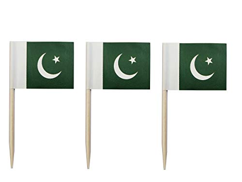 JAVD CYPS 100 Stück Pakistanische Flagge Pakistanische Zahnstocher Flaggen, kleine Mini-Stick-Cupcake-Topper Pakistanische Flaggen, Landspieße, Partydekoration, Feier, Cocktail, Bar, Kuchenflaggen JAVD CYPS 100 Stück Pakistanische Flagge Pakistanische Zahnstocher Flaggen, kleine Mini-Stick-Cupcake-Topper Pakistanische Flaggen, Landspieße, Partydekoration, Feier, Cocktail, Bar, Kuchenflaggen von JAVD