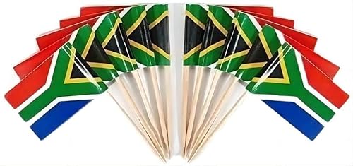 JAVD CYPS 100 Stück Südafrika-Flagge, südafrikanische Zahnstocher-Flaggen, kleine Mini-Stick-Cupcake-Topper, südafrikanische Flaggen, Landspieße, Partydekoration, Feier, Cocktail, Bar, Kuchenflaggen von JAVD