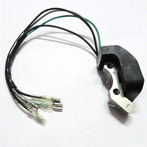 JAVON ET950 ET650 IE45 TG950 Mit Magnetzündspule Zündgerät Passend for Tiger Generator 450 W 650 W 800 W 950 W 1000 W 2-Takt Zündspulenmodul Magneto (Size : As show-03) von JAVON