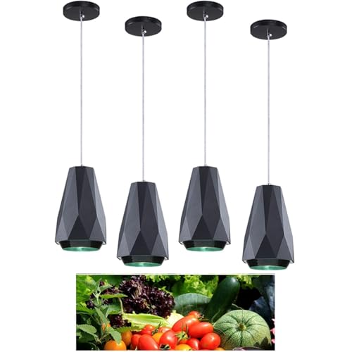 JAVPTAV Frische Pendelleuchte, Meeresfrüchtelampe, Brot- und Obstlampe, Gemüselampe, ideal for den Fischmarkt und die Metzgerei(Vegetable Lamp) von JAVPTAV