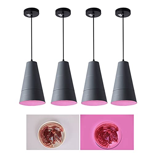 JAVPTAV LED-Lebensmittellampe for Gemüse, Obst, Brot, Meeresfrüchte, kommerzielle Pendelleuchte for die Bäckerei im Supermarkt(Meat Lamp) von JAVPTAV
