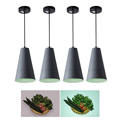JAVPTAV LED-Lebensmittellampe for Gemüse, Obst, Brot, Meeresfrüchte, kommerzielle Pendelleuchte for die Bäckerei im Supermarkt(Vegetable Lamp) von JAVPTAV