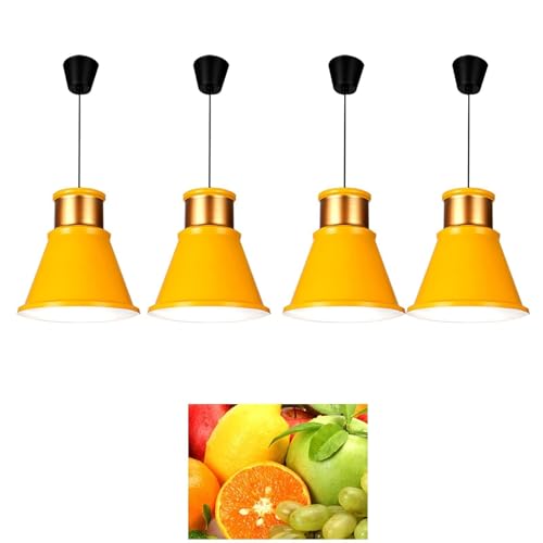 JAVPTAV Supermarkt-Frischelampe, LED-Pendelleuchte for Gemüse, Obst und Brot, Fleisch-Kronleuchter, 40-W-Meeresfrüchtelampe JAVPTAV Supermarkt-Frischelampe, LED-Pendelleuchte for Gemüse, Obst und Brot, Fleisch-Kronleuchter, 40-W-Meeresfrüchtelampe von JAVPTAV