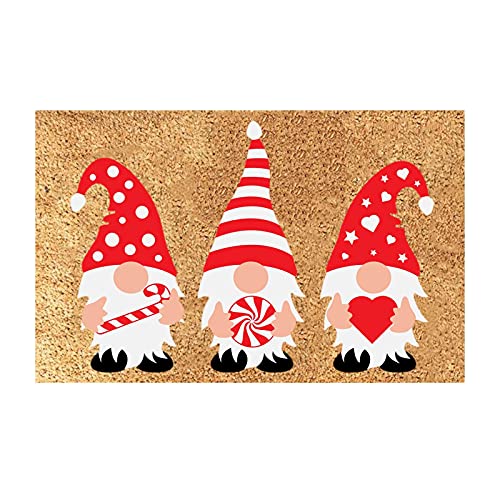 JAXICH Weihnachten Fußmatten Tür Teppich rutschfeste Zwerg Haustür Matte Weihnachtsteppich für Schlafzimmer, Flur Wohnzimmer Boden, Küche Badezimmer, 40X60CM von JAXICH