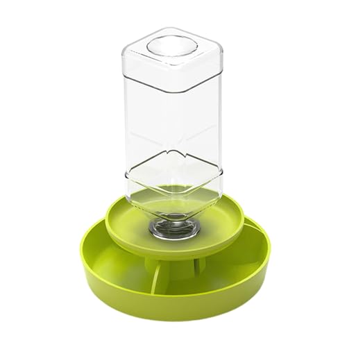 JAYIOLA Aquarium-Zubehör mit Reptilien-Futternapf, Wasserspender für Amphibien wie Frösche und Geckos, Green S JAYIOLA Aquarium-Zubehör mit Reptilien-Futternapf, Wasserspender für Amphibien wie Frösche und Geckos, Green S von JAYIOLA