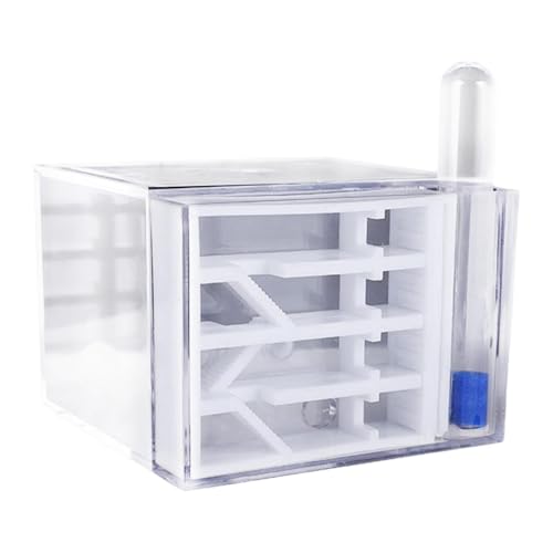 JAYIOLA Farm Workshop Transparentes Nest für Wissenschaftliche Beobachtung, Geschenk, Tischplatte JAYIOLA Farm Workshop Transparentes Nest für Wissenschaftliche Beobachtung, Geschenk, Tischplatte von JAYIOLA