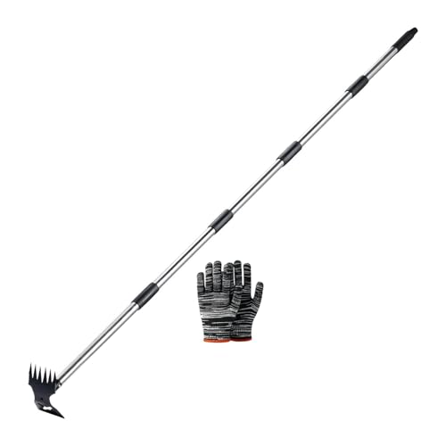 JAYIOLA Praktisches Unkrautentfernungswerkzeug mit langem Griff, ideal für Rasenflächen und Beete, Mehrfarbig, 5 Abschnitt JAYIOLA Praktisches Unkrautentfernungswerkzeug mit langem Griff, ideal für Rasenflächen und Beete, Mehrfarbig, 5 Abschnitt von JAYIOLA