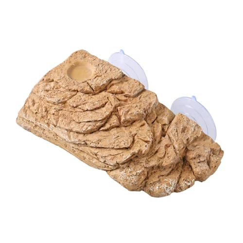 JAYIOLA Schildkröten Aquarium Ornament für Reptilien, Lebensraum für Frösche, Leguane JAYIOLA Schildkröten Aquarium Ornament für Reptilien, Lebensraum für Frösche, Leguane von JAYIOLA