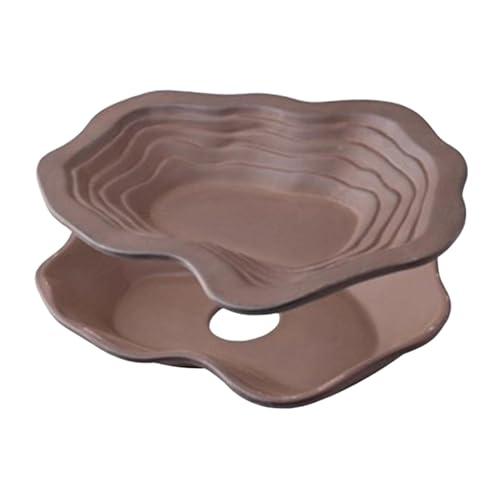 JAYIOLA Schildkröten Badebecken, Reptilienfutter, Wassernapf für Frosch, Gecko, Bartagame JAYIOLA Schildkröten Badebecken, Reptilienfutter, Wassernapf für Frosch, Gecko, Bartagame von JAYIOLA