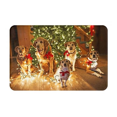 JAYWIS Fußmatte mit weihnachtlichem Hundemotiv, weicher Eingangsteppich, rutschfeste Fußmatte für drinnen und draußen, waschbar, 40 x 60 cm von JAYWIS