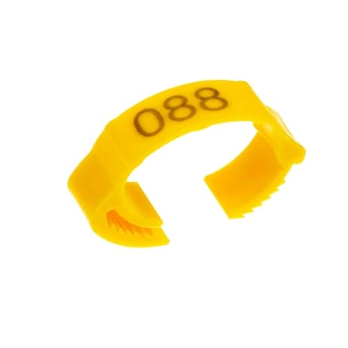 100 Stück verstellbare Snap-on Hühnerfußringe Laserdruck Digital Label Ententaubenbein Farm Identifikation Für Hähnchen, Enten, Hähnchen(Black,50pcs) von JBJYGSG