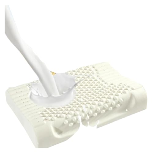 JBJYGSG Memory Foam Kissen Latex Erwachsene Kern Massage Pillowcore Schlafzimmer Dekor Heimtextilien(Particle Massage,30x50cm(12x20inch)) von JBJYGSG