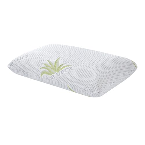 JBJYGSG Memory-Schaum-Kissen, Bambusfaser, hautfreundliches, langsames Rebound-Brot-Kissen, einzelnes Hotel-Hals-Nacken-Pflege-Heimkissenkern(Aloe Vera,70x40x13cm) von JBJYGSG