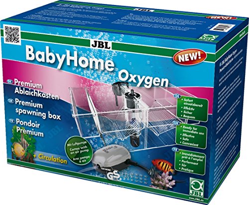 JBL BabyHome Oxygen 6432000, Premium-Ablaichkasten, Komplettset mit Luftpumpe, 1 Stück (1er Pack) JBL BabyHome Oxygen 6432000, Premium-Ablaichkasten, Komplettset mit Luftpumpe, 1 Stück (1er Pack) von JBL