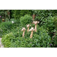 Keramik Giraffe Groß | Frostfest Gartenfigur Gartendeko Gartenschmuck Gartenkeramik Tierfigur Gartendekoration Stabfigur von JBLivingKeramik