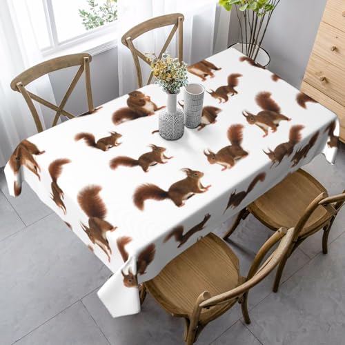 JBYJBX Rechteckige Tischdecke mit niedlichem Eichhörnchen-Druck, für Esszimmer, Party, Innen- und Außenbereich, dekorative Tischdecke JBYJBX Rechteckige Tischdecke mit niedlichem Eichhörnchen-Druck, für Esszimmer, Party, Innen- und Außenbereich, dekorative Tischdecke von JBYJBX
