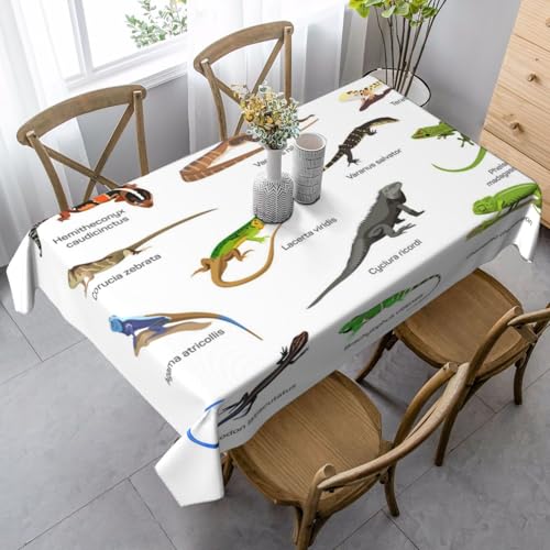 JBYJBX Verschiedene Arten von rechteckigen Tischdecken mit Eidechsenaufdruck, für Esszimmer, Party, Innen- und Außenbereich, dekorative Tischdecke von JBYJBX