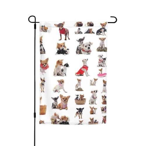 Jbyjbx Niedliche Chihuahua-Mops-Muster, schöne Gartenflagge, Outdoor-Flagge, Hof-Dekoration, Veranden, Gärten, farbecht von JBYJBX