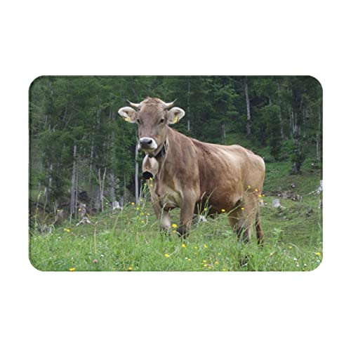 JCAKES Echte Schweizer Kuh braune Fußmatte – Verwandeln Sie Ihre Wohnkultur mit unserer Treppen-Bodenmatte, schönem Teppich und Badematten für den Innen- und Außenbereich von JCAKES