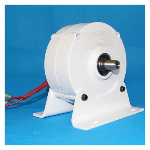 1KW-5KW Elektrische Generator Wind Turbine Wasser Turbine 12V 24V 48V 96V Getriebelose Permanent Magnet Generator for Hause Geräuscharme, hocheffiziente Stromerzeugung(Double Shaft,48V_2000W) von JCKJWL