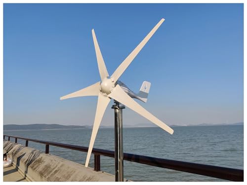 3000 W Windturbinengenerator-Kit, horizontaler Windturbinengenerator 12 V, 24 V, 48 V, leistungsstarker Dynamo mit MPPT-Off-Grid-System, Heimwindmühle Geräuscharme, hocheffiziente Stromerzeugung(With von JCKJWL