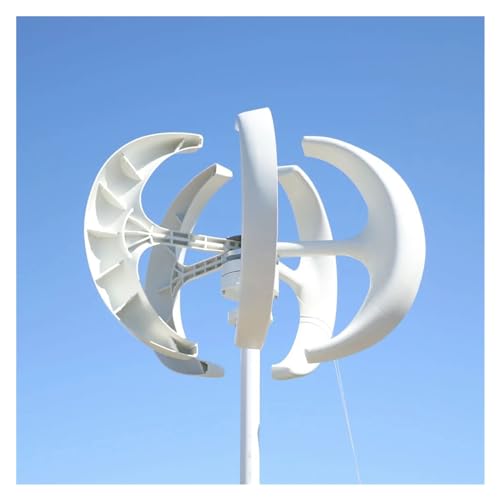 5000W 12V 24V 48V Windturbinengenerator 5KW Vertikalachsen-Windmühle mit Hybrid-Laderegler for den Heimgebrauch Geräuscharme, hocheffiziente Stromerzeugung(WHITE,WITH MPPT CONTROLLER_12V) von JCKJWL