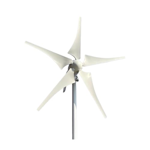 5000W Windmühle 12V 24V 48V 6 Flügel Windturbinengenerator mit MPPT-Regler Niedrige Startwindgeschwindigkeit for Off-Grid-System Geräuscharme, hocheffiziente Stromerzeugung(MPPT controller,6 BLADES_48 5000W Windmühle 12V 24V 48V 6 Flügel Windturbinengenerator mit MPPT-Regler Niedrige Startwindgeschwindigkeit for Off-Grid-System Geräuscharme, hocheffiziente Stromerzeugung(MPPT controller,6 BLADES_48 von JCKJWL