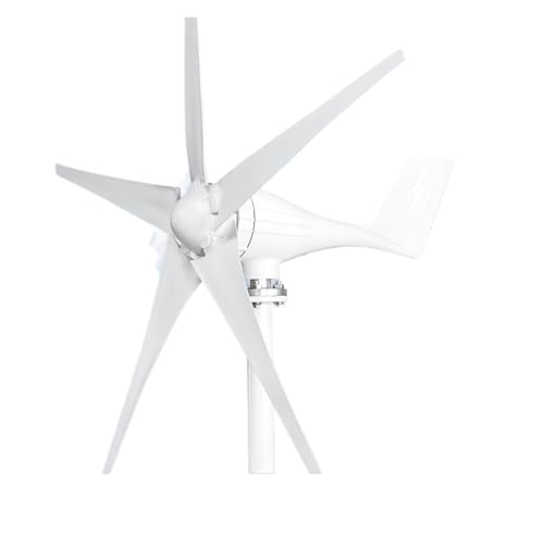 Wind Turbine Generator 3000w Horizontal 12V 24V Freie Energie Magnetische Starke Power Inverter Ausgang for Hause Geräuscharme, hocheffiziente Stromerzeugung(With Mppt Controller,12V_1000W) von JCKJWL