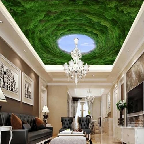 JCSMKFQ Deckenwandbild 3D Wohnzimmer Tapete dreidimensionalen blauen Himmel Höhle Innendecke Dekoration Wand Kunst Malerei Aufkleber von JCSMKFQ