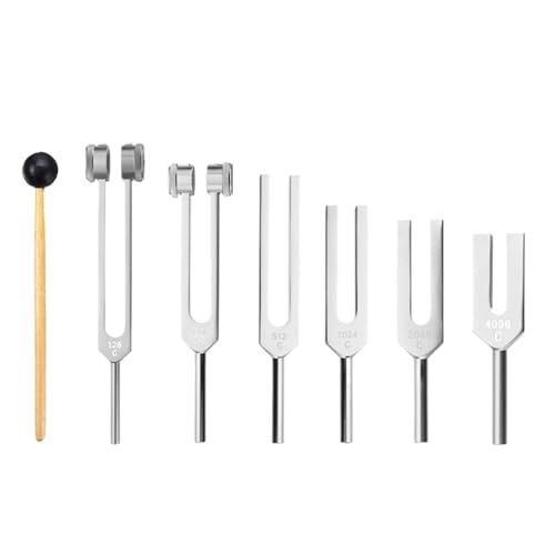 JCXIOC Stimmgabel 6 Teile/Satz 128Hz 256Hz 512Hz 1024Hz 2048Hz 4096Hz Stimmgabel mit Hammer Stimmgabel Kit Sound Vibration Werkzeug JCXIOC Stimmgabel 6 Teile/Satz 128Hz 256Hz 512Hz 1024Hz 2048Hz 4096Hz Stimmgabel mit Hammer Stimmgabel Kit Sound Vibration Werkzeug von JCXIOC