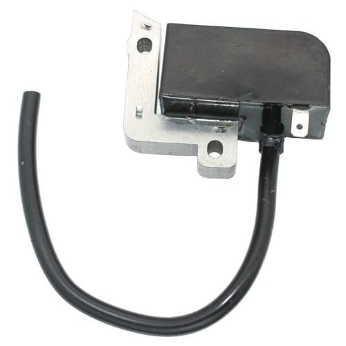 Zündspule kompatibel mit wenig Wundermodellen 6040 2242S 2216d 2224d 2230d 2119 2124 2130 2230S Ersatzteil von JCxYGAP