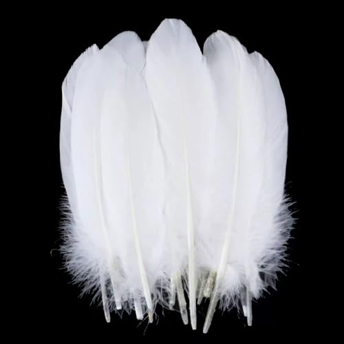 JDCMEI 100 Stück Weiße Federn, Federn zum Basteln Natur Gänsefedern Naturfedern Gänsefedern Flaumfedern Bastelfedern für Traumfänger DIY Basteln Hochzeit Party Handwerk Schmuck Zubehör JDCMEI 100 Stück Weiße Federn, Federn zum Basteln Natur Gänsefedern Naturfedern Gänsefedern Flaumfedern Bastelfedern für Traumfänger DIY Basteln Hochzeit Party Handwerk Schmuck Zubehör von JDCMEI