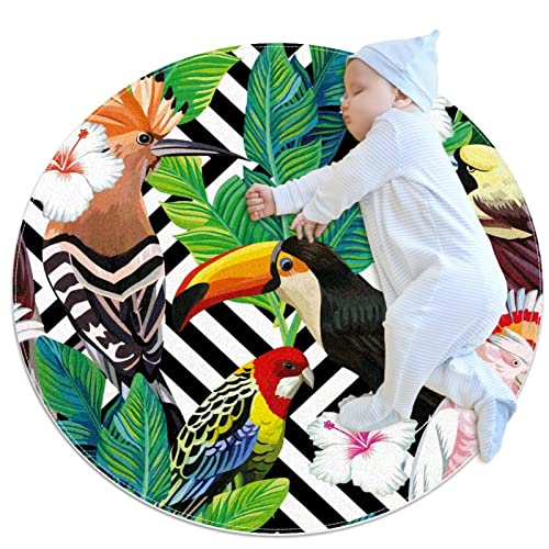 JDEZ Flächenteppiche Tropische Vögel Papagei Area Rugs Bodenmatte Home Decor Teppich für Badeingang 70x70cm von JDEZ