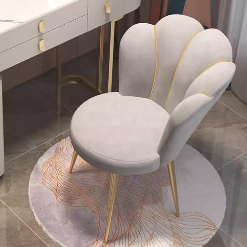 JDKJSBF Samt Makeupstuhl mit goldenen Metallbeinen Grauer Eitelkeithocker für Schlafzimmer Wohnzimmer Café Thoughtful von JDKJSBF