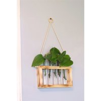 Vermehrungsstation Für Hängepflanzen | Pflanzenvermehrung - Röhrchen Enthalten Übertopf Blumentopf Blumenampel Boho Pflanzenhalter Vermehrungsstation Für Hängepflanzen | Pflanzenvermehrung - Röhrchen Enthalten Übertopf Blumentopf Blumenampel Boho Pflanzenhalter von JDMWoodCreations