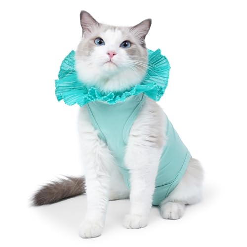 JDNH Katzen-Body für postoperative Wundheilungen, Kastration, Katzen-Anzug nach Operationen, Genesungskleidung, Kastration, Genesungskleidung von JDNH